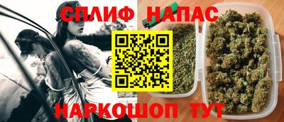 СК Моздок