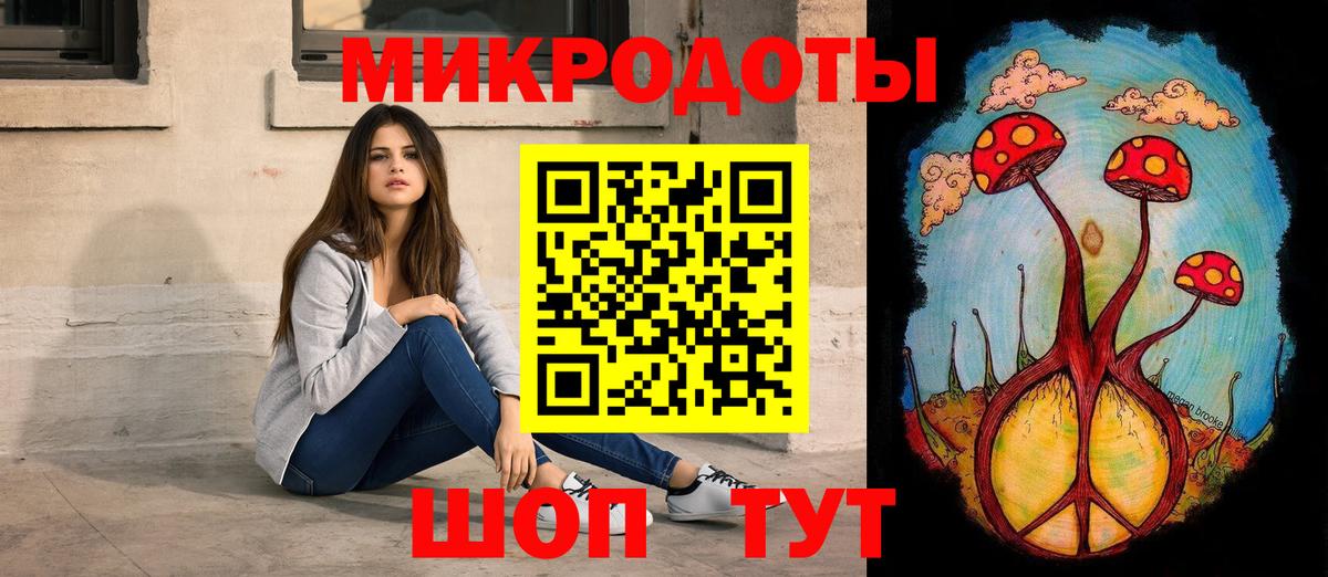 Волхов  Псилоцибиновые грибы Psilocybe  Вход с VPN 