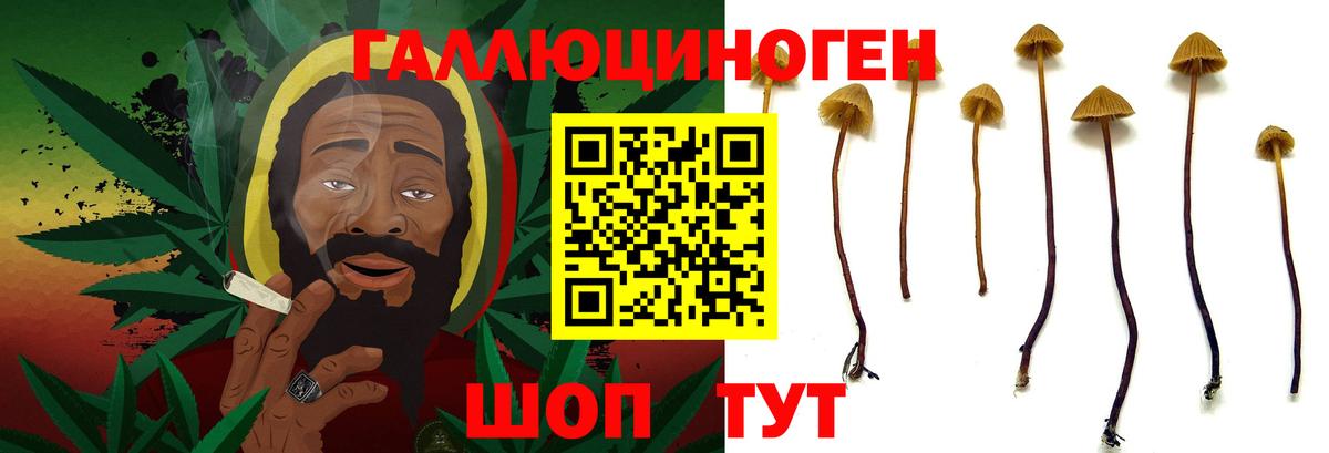 Галлюциногенные грибы мухоморы Волхов