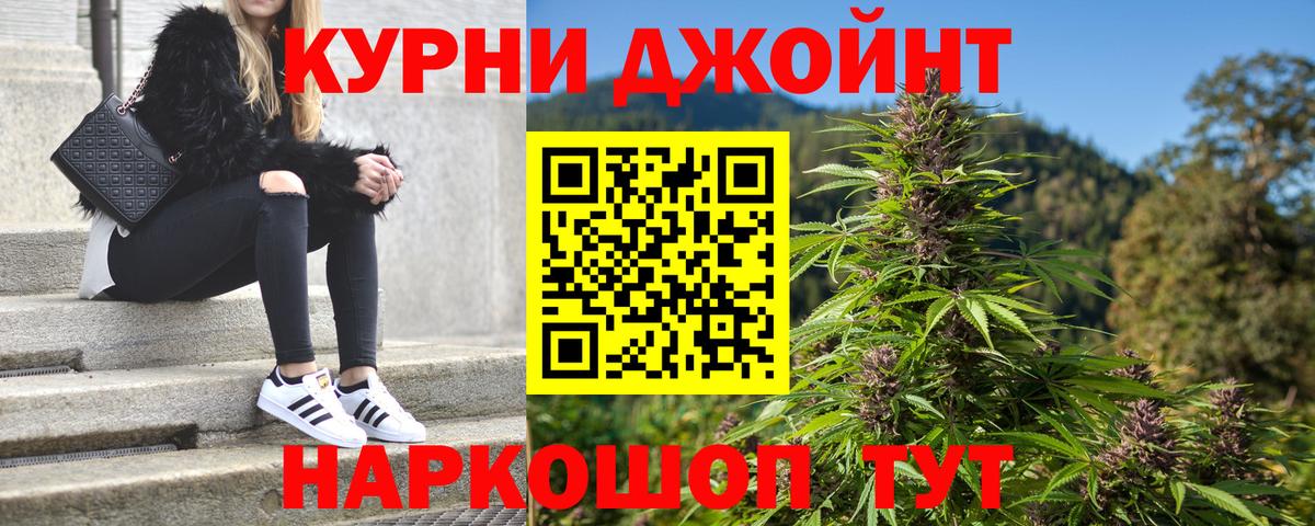 МАРИХУАНА план  Конопля Ganja  Волхов  Бошки Шишки LSD WEED  Каннабис конопля  Вход с VPN 